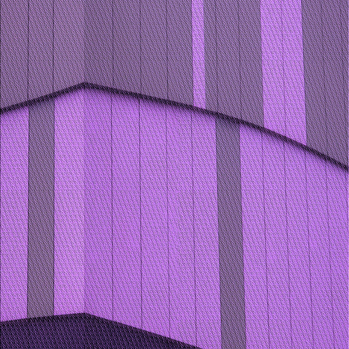 Machine Washable Transitional Purple Rug, wshpat1032pur