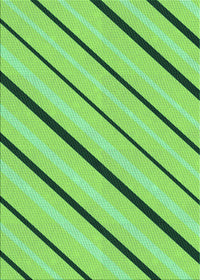 Machine Washable Transitional Emerald Green Rug, wshpat1033grn