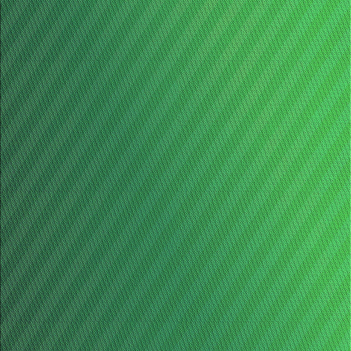 Machine Washable Transitional Forest Green Rug, wshpat1041grn