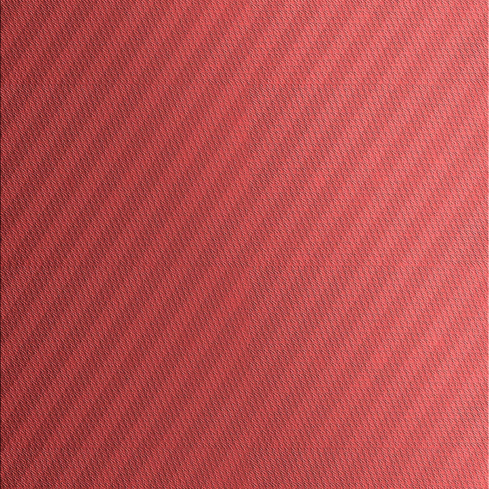 Machine Washable Transitional Red Rug, wshpat1041rd