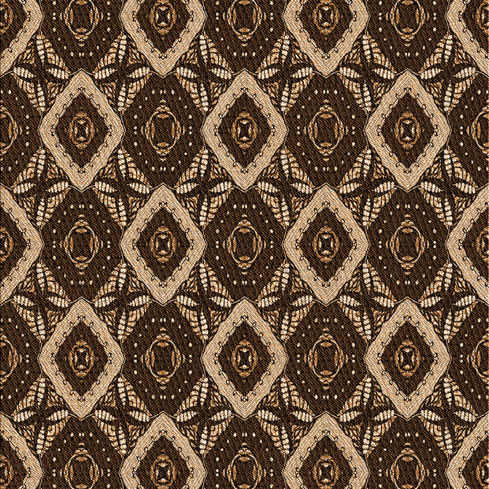 Machine Washable Transitional Peru Brown Rug, wshpat1053org