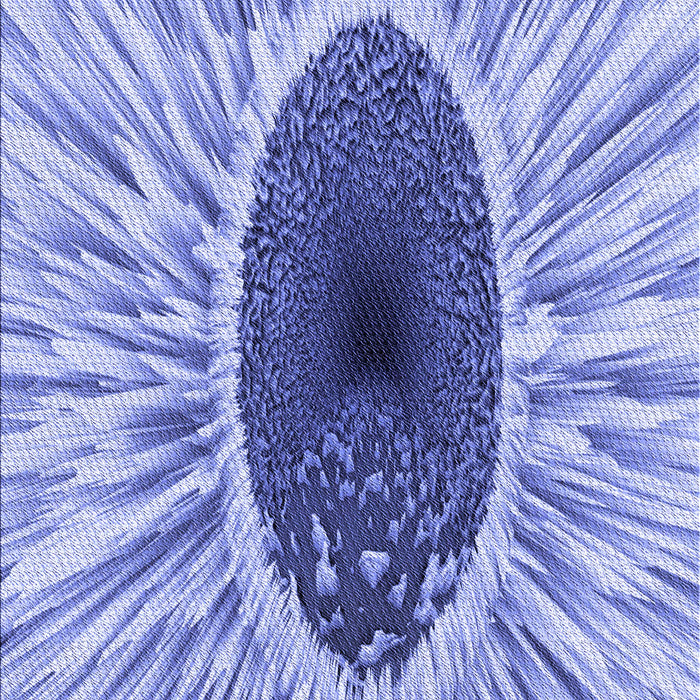 Machine Washable Transitional Royal Blue Rug, wshpat1055blu