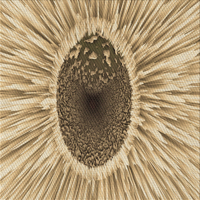 Round Machine Washable Transitional Yellow Rug, wshpat1055brn