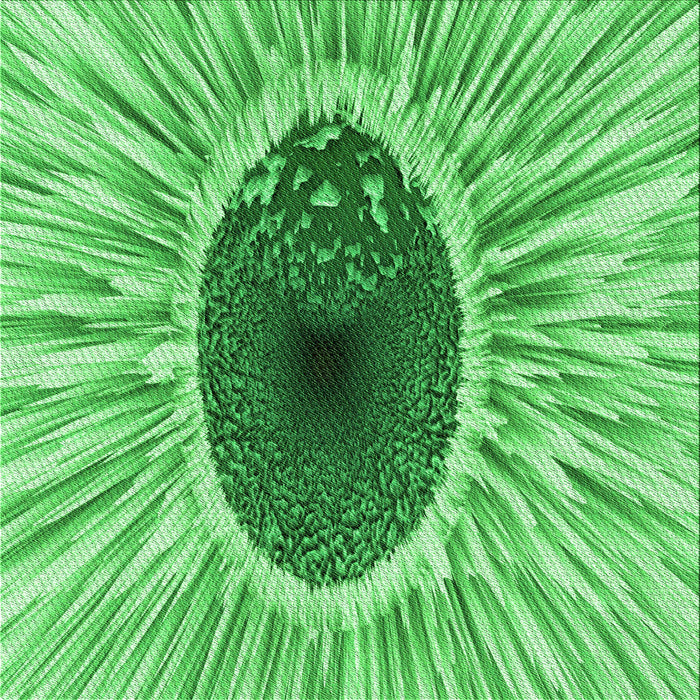 Round Machine Washable Transitional Green Rug, wshpat1055grn