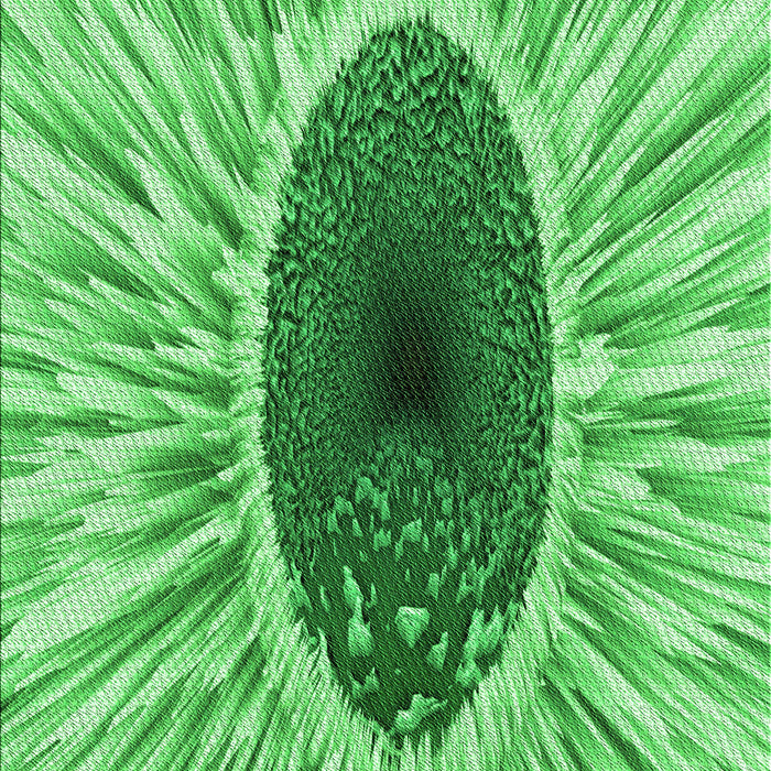 Machine Washable Transitional Green Rug, wshpat1055grn