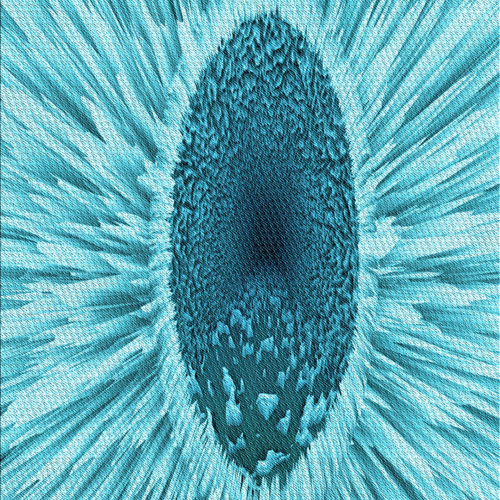 Machine Washable Transitional Light Sea Green Rug, wshpat1055lblu