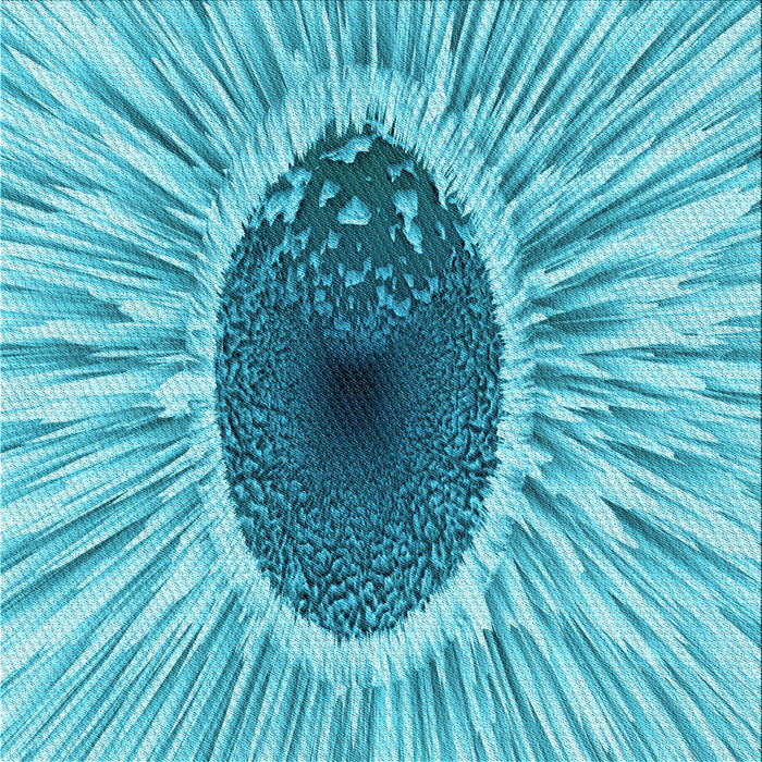 Round Patterned Light Sea Green Rug, pat1055lblu