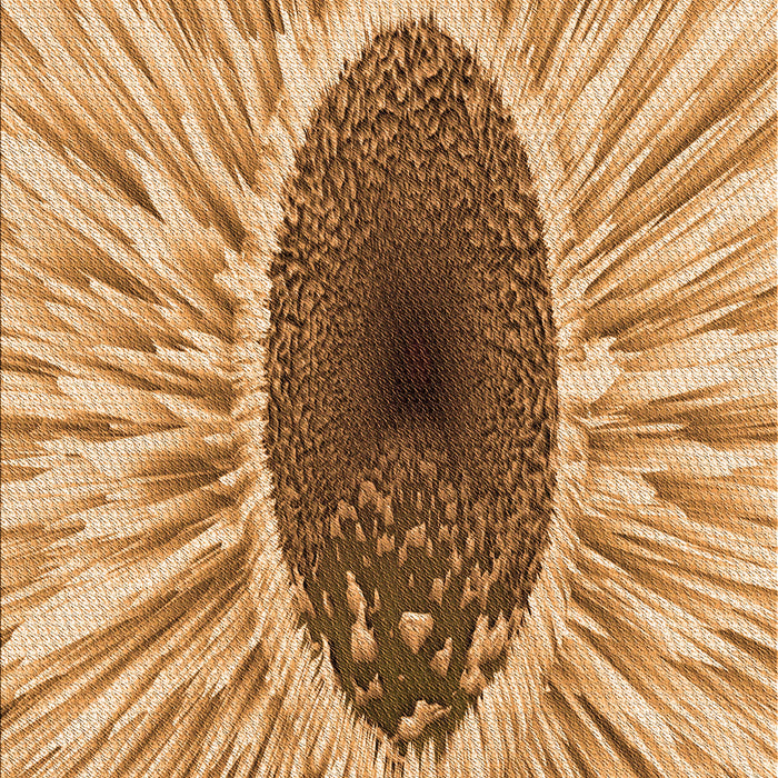 Patterned Yellow Orange Rug, pat1055org