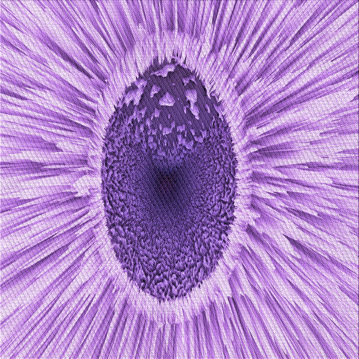 Round Machine Washable Transitional Pastel Purple Pink Rug, wshpat1055pur