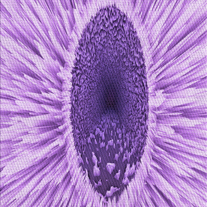 Machine Washable Transitional Pastel Purple Pink Rug, wshpat1055pur