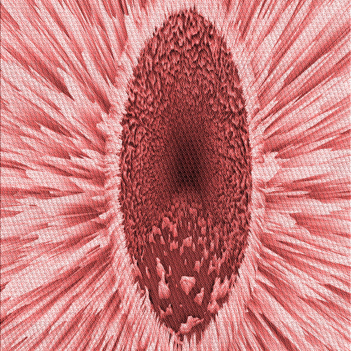 Patterned Pastel Pink Rug, pat1055rd