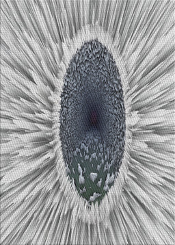 Machine Washable Transitional Ash Gray Rug, wshpat1055