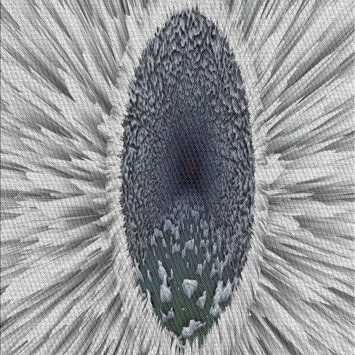 Patterned Ash Gray Novelty Rug, pat1055