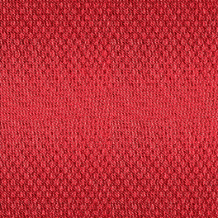 Machine Washable Transitional Red Rug, wshpat1060rd