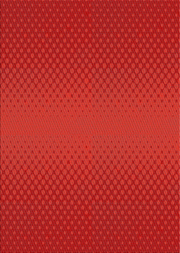 Machine Washable Transitional Fire Red Rug, wshpat1060