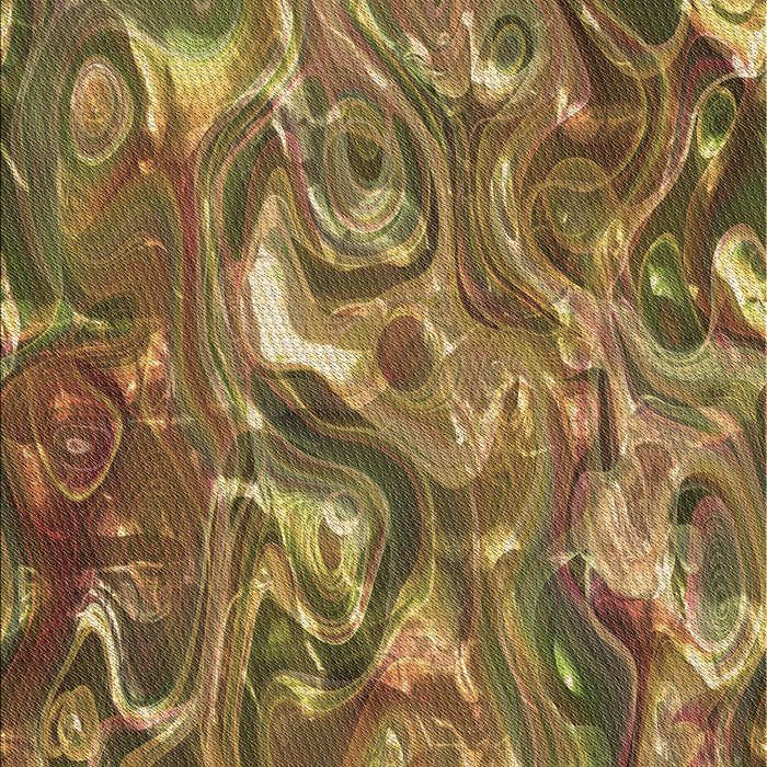 Machine Washable Transitional Dark Bronze Brown Rug, wshpat107brn