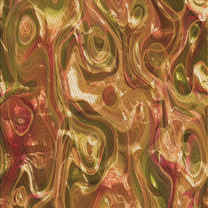 Machine Washable Transitional Orange Rug, wshpat107org