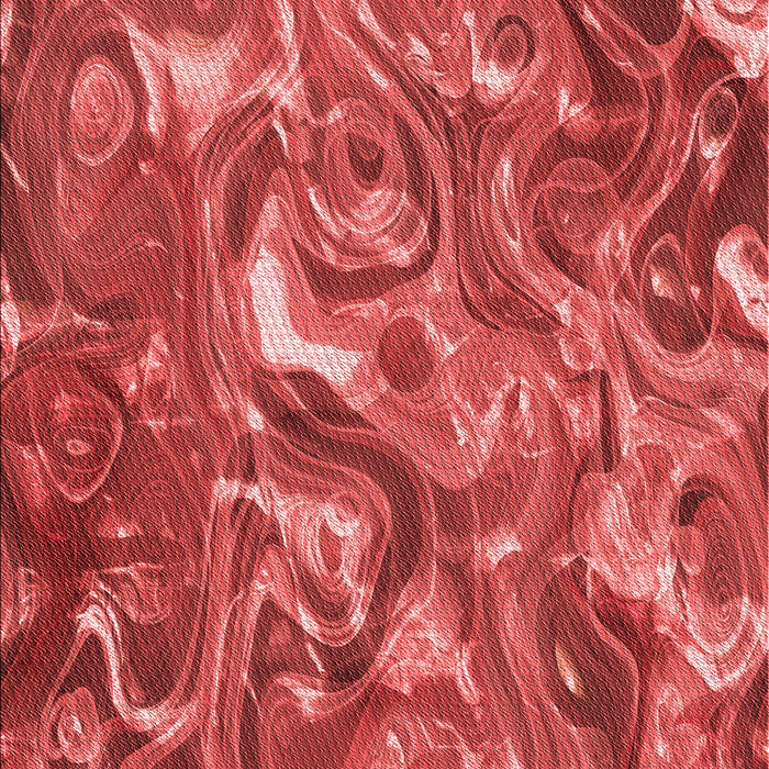 Machine Washable Transitional Red Rug, wshpat107rd