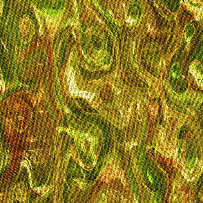 Machine Washable Transitional Dark Bronze Brown Rug, wshpat107yw