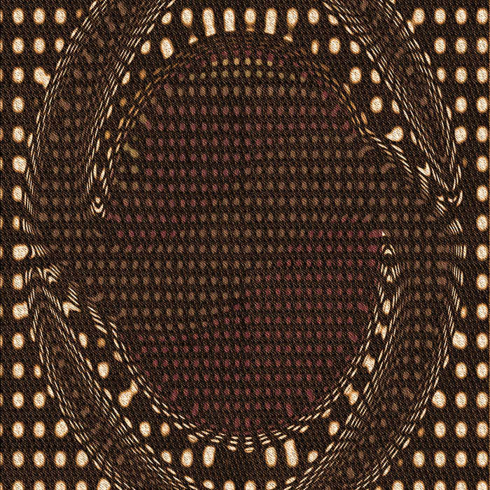 Machine Washable Transitional Sienna Brown Rug, wshpat1070org