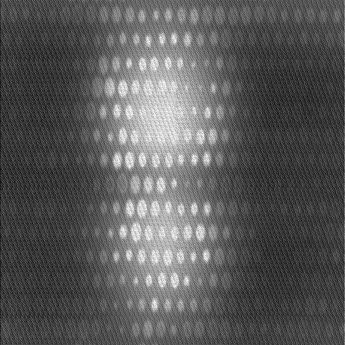 Machine Washable Transitional Gray Rug, wshpat1071gry