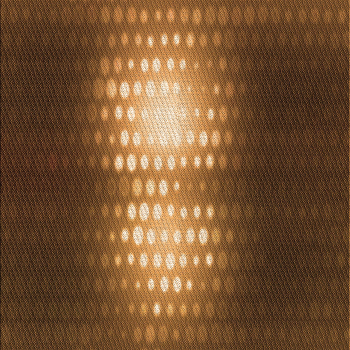 Machine Washable Transitional Red Brown Rug, wshpat1071org