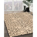 Patterned Light Brown Rug in Family Room, pat1076org