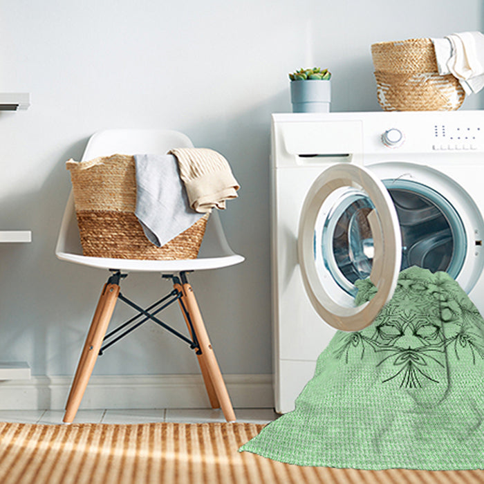 Machine Washable Transitional Mint Green Rug in a Washing Machine, wshpat1078grn