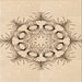Round Patterned Peru Brown Rug, pat1078org