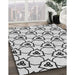 Patterned Ash Gray Novelty Rug in Family Room, pat1079