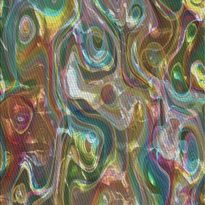 Machine Washable Transitional Dark Brown Rug, wshpat107