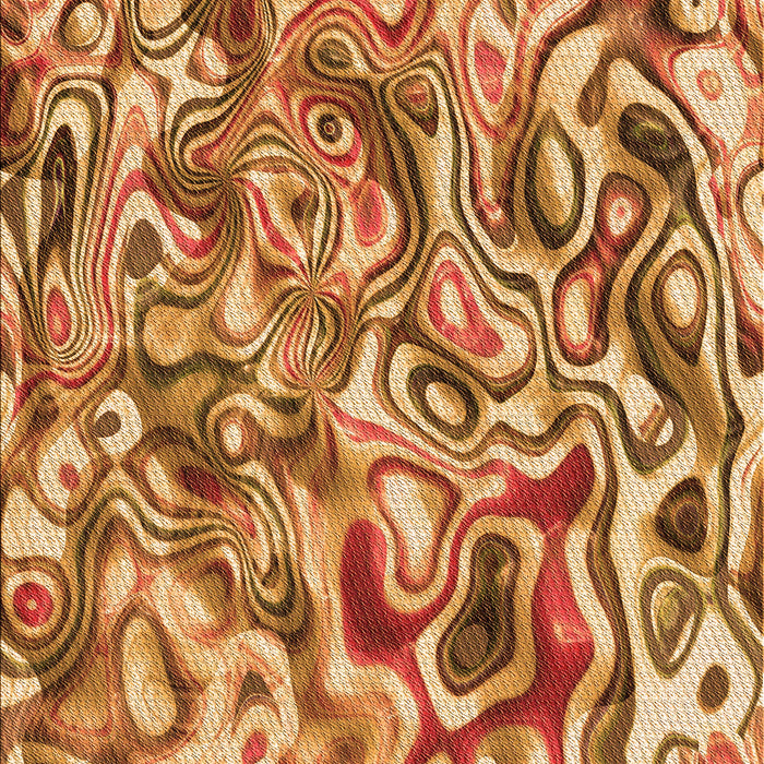 Machine Washable Transitional Orange Rug, wshpat108org