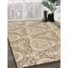Patterned Copper Brown Rug in Family Room, pat1082org