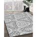 Patterned Off-White Novelty Rug in Family Room, pat1082