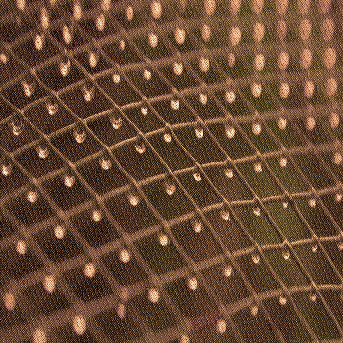 Patterned Red Rug, pat1085org