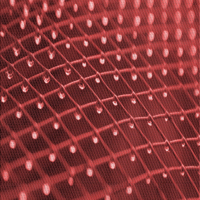 Machine Washable Transitional Cranberry Red Rug, wshpat1085rd