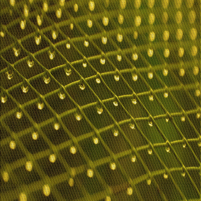 Patterned Milk Chocolate Brown Rug, pat1085yw