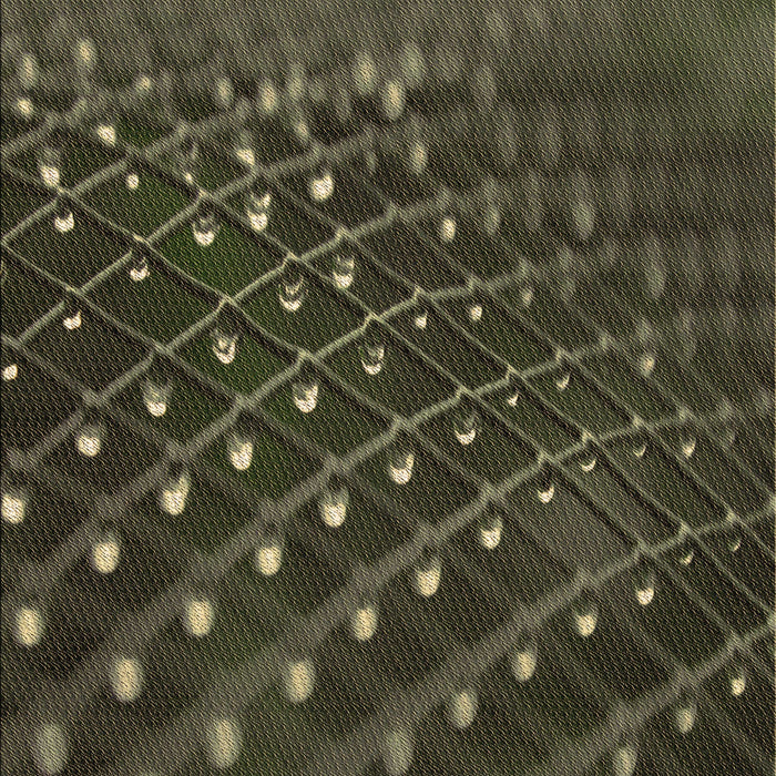 Patterned Fern Green Rug, pat1086brn