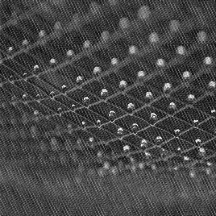 Round Machine Washable Transitional Charcoal Black Rug, wshpat1086gry