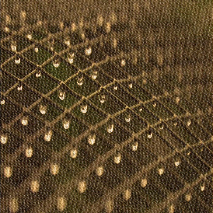 Machine Washable Transitional Night Red Rug, wshpat1086org