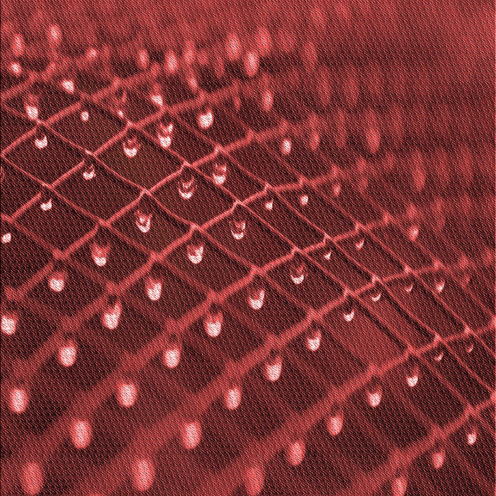 Machine Washable Transitional Cranberry Red Rug, wshpat1086rd