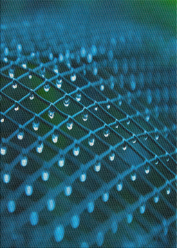 Patterned Deep-Sea Blue Novelty Rug, pat1086