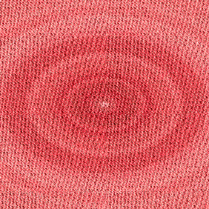 Patterned Red Rug, pat1089rd