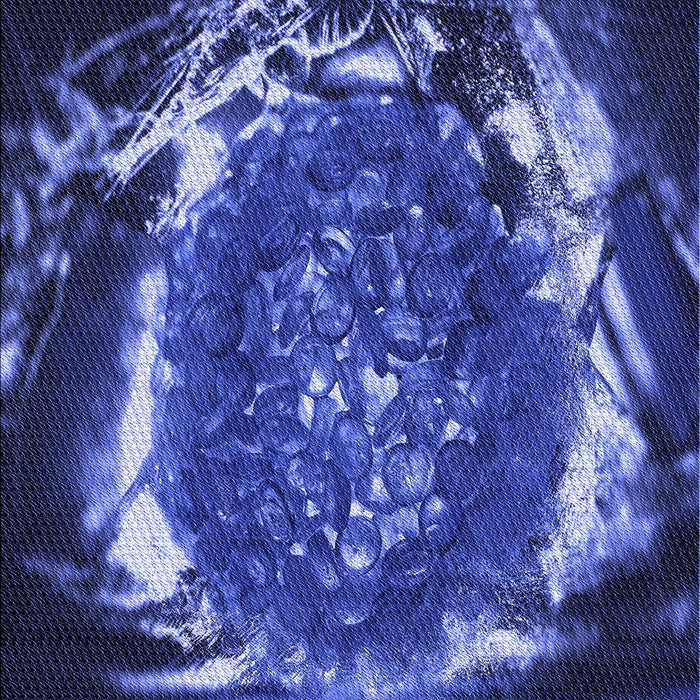 Machine Washable Transitional Light Slate Blue Rug, wshpat109blu