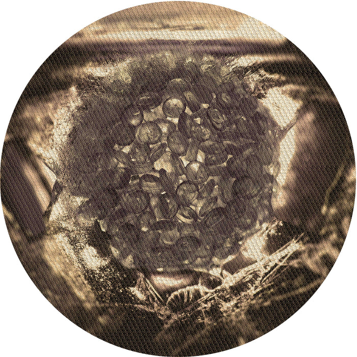 Square Machine Washable Transitional Burgundy Brown Rug in a Living Room, wshpat109brn