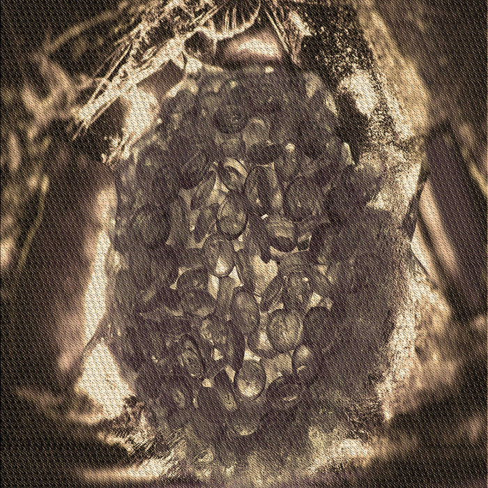 Machine Washable Transitional Burgundy Brown Rug, wshpat109brn