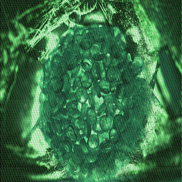 Patterned Deep Emerald Green Rug, pat109grn