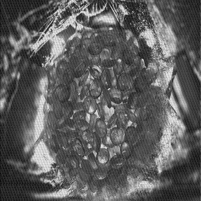 Patterned Charcoal Black Rug, pat109gry