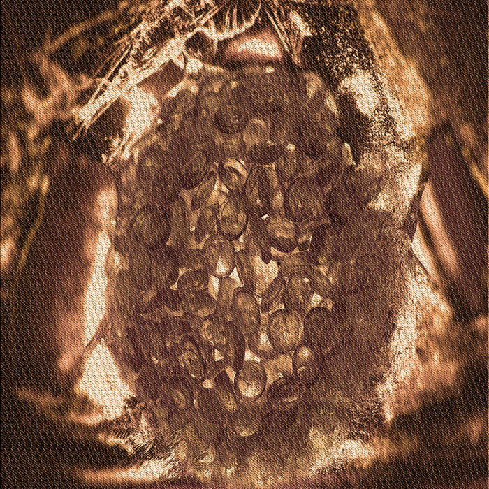 Patterned Red Rug, pat109org