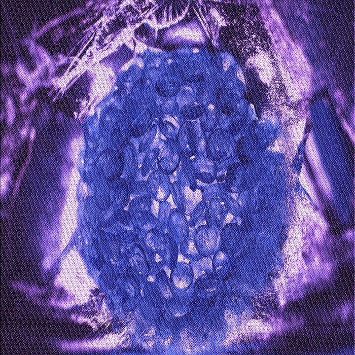 Patterned Purple Rug, pat109pur